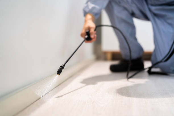 Licensed Cockroach Control service in Concord, MI - Nex Pest Control