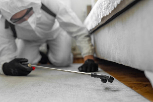 Professional Cockroach Control technician working in Concord, MI