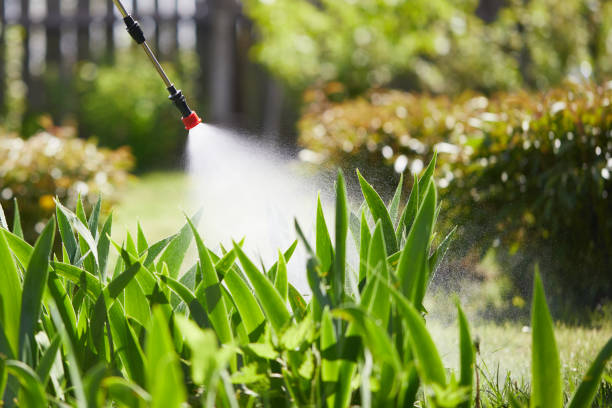 24/7 Emergency Cockroach Control experts in Concord, MI