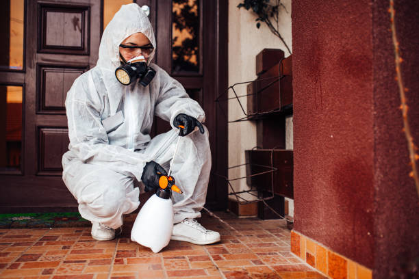 Reliable Cockroach Control contractor in Concord, MI by Nex Pest Control