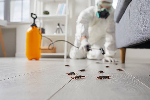 Affordable Cockroach Control solutions in Concord, MI