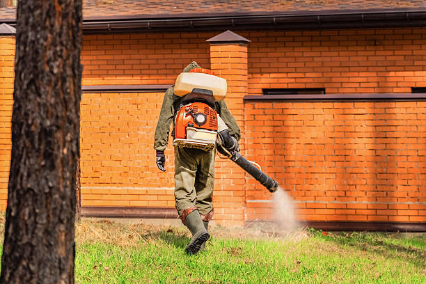 Top rated local Cockroach Control specialists in Concord, MI